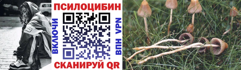 закладка  Чухлома  Псилоцибиновые грибы прущие грибы 